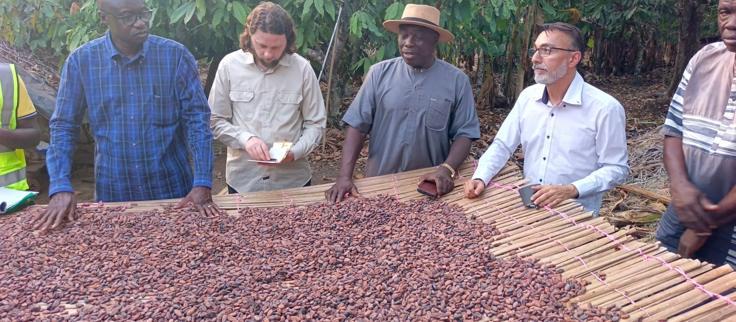 ECAM image 6